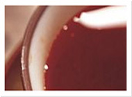 秋思手机号轰炸平台